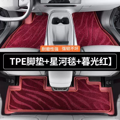 Universal Foot Pad — Tpe Car Floor Mats for 06-24 - twilight-red-double-layer-tpe-foot-mat-galaxy-blanket-remarks-on-the-year-and-model-of-other-camry-models