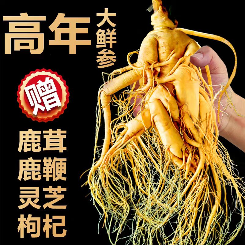 长白山人参整支东北特产高品质大参送礼鲜参吉林人参煲汤泡酒