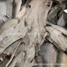 ���] 500�� �������� ľ���Ӹ� ɽ�n�Ӹ� ���Ѹ� ��ș�� ��؛���l