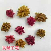 ���^�ǻ� ���ǻ� DIY�ֹ����� Ϟ�T�ɻ� ����ɻ����� ��Ȼֲ��