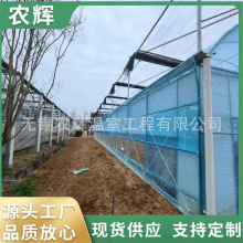 �r�I������B�w�����B����Ĥ���ҹ��̺�������w��S���N��