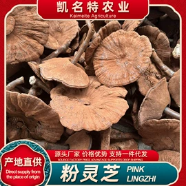 灵芝;竹笋类;参类滋补品