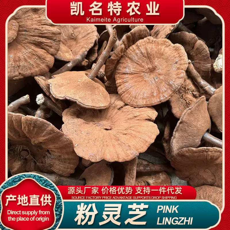 林下带粉紫灵芝批发大货整支带袍子粉泡酒中药材厂家直发有机