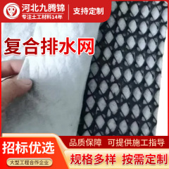 厂家W型加筋固土护坡三维复合排水网高铁足球场麦克波形排水网垫