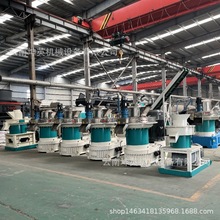 锯末燃烧颗粒生产线 生物质颗粒机 木屑制粒设备 木糠木材压块机