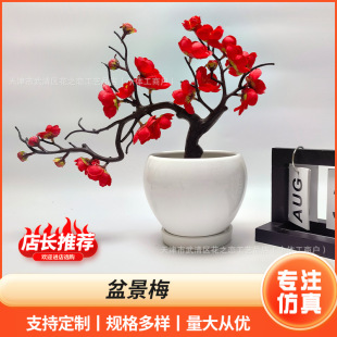 �����D÷֦�辰��ʽ����÷��֦ �Ҿӿ͏d�[���b����D÷���滨