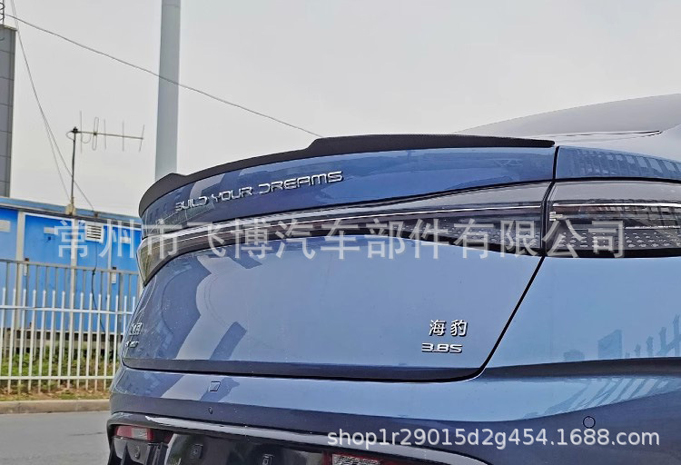 Suitable for 20 Models of Byd Seal Special Rear Wings Original Carbon Fiber Pattern Sports Blade Style Rear Wings