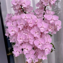 �����m�����ļ����B�҃��̨�k�������ԾGֲ���ܺ��B��