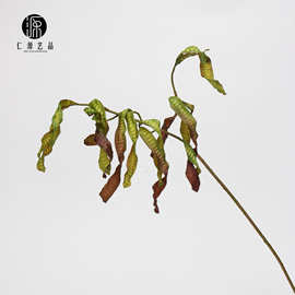 工厂直销 仿真植物银合欢豆荚叶豌豆花 盆景插花装饰婚庆花艺设计