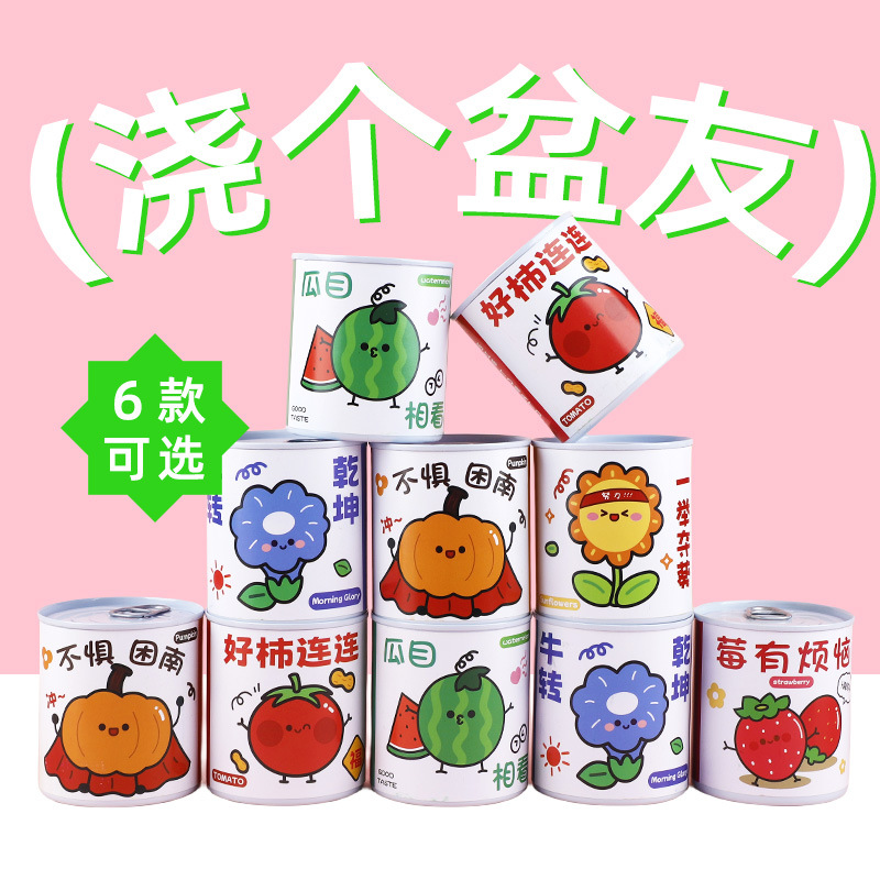 DIY Cans Can Be Used to Plant Indoor Small Potted Mini Green Plants, Which Are Easy to Raise Students and Convenient to Observe Plant Growth