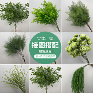 ��c�Gֲ����ֲ��廨�M�����ȼ���ɭϵ�ٻ�������Y�Y���b���