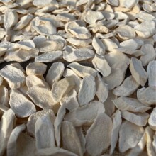 山药片河南焦作垆土铁棍山药干山药粉批发无硫怀山药中药材非淮山