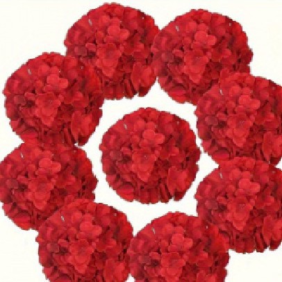 Flores de imitación de alta gama de una sola rama sensación de gran hortenida cabeza de hortenida decoración de mesa de comedor para el hogar accesorios de fotografía