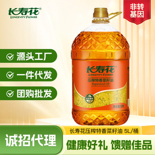 �L�ۻ����������5L  ���D���� ���퉺ե ʳ����