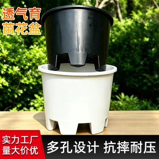 塑料育苗花盆接水盘吹塑注塑加仑盆大号多肉盆蔬菜育苗盆透气花盆