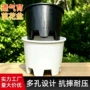 育苗透气吹塑多肉加仑盆