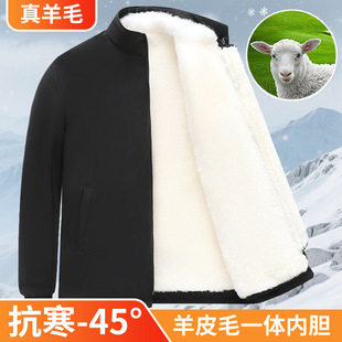 ����Ƥëһ�wƤ����������Ƥëһ�w��Ƥ�\�ְ��bƤë��đƤ�¶���