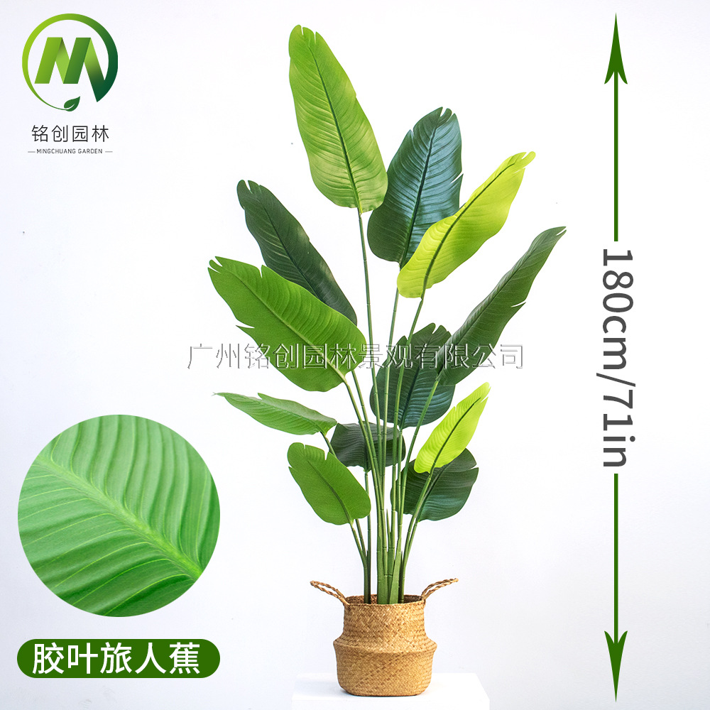 Árbol de simulación transfronterizo, plátano viajero, planta en maceta, nueva planta de simulación, pájaro del paraíso, planta verde de simulación de hoja grande, plátano viajero
