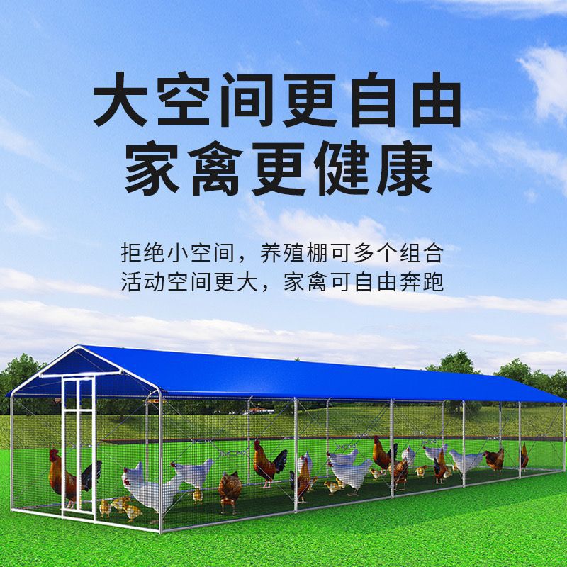Galería de pollo, jaula de gallinas, jaula de aves de corral al aire libre, marco de tolva, protección contra el viento, lluvia y protección contra el sol, tolva simple para construir galería de gallinas