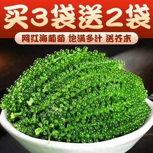 �W�t������100g���r��ʳ�}�n���������߲˾Gɫ�~���u������ͽ�ĩ