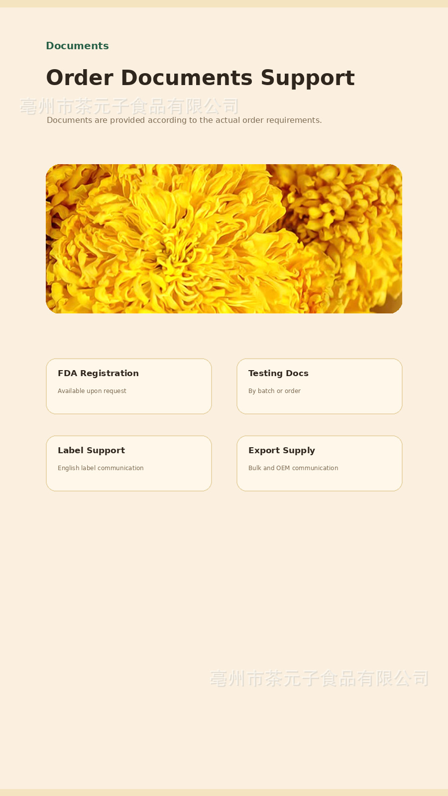 Tai Ju Chrysanthemum Buds Herbal Tea 50g Dried Flower Buds for Brewing and Daily Wellness quality and texture