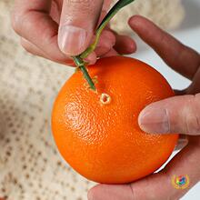 &otimes;�S���Ӽ������ģ��ˮ�������b[�����S���l��ĭ���|ɳ��