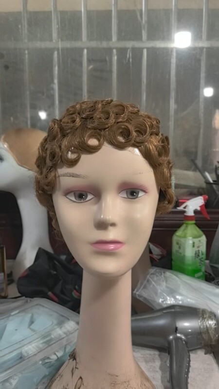 Direct Sales from the Manufacturer, Real Human Hair Wigs, Pk Hand-Woven Small Curly Hair Short Wig