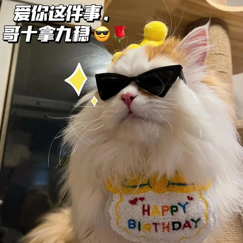 애완 동물 선글라스 고양이 삼각형 안경 고양이 인터넷 축하 멋진 유행 개 포즈 개인 애완 동물 소품 액세서리