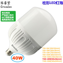 T120 40W LED工矿泡 厂房用大功率平头T型白色球泡  鸟笼灯