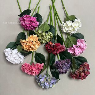 ���滨���l72Ƭ3D�zƬ���^�����Y��������·��Ʒ�|�ٻ��zӰ�[��
