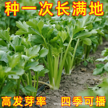 ۲˷NļС۲˷Nζ۲ļNr߲˷N