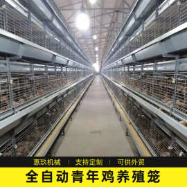 青年鸡全自动框架养鸡笼厂家定制 鸡舍养鸡场雏鸡笼 养殖笼具设备