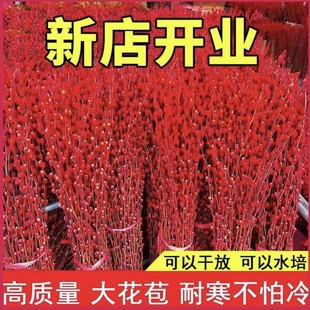 ���F؛�F�l������֧���y���滨�r֦�t����֦�͏d�[���ɻ��tɫˮ�B