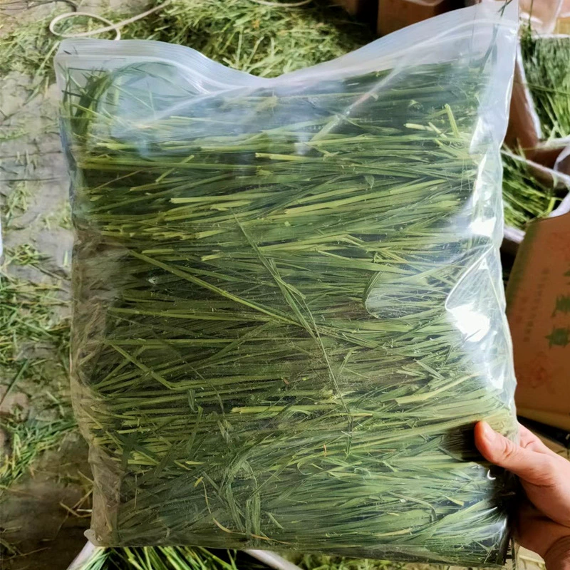 Индивидуальный пакет сушеной пшеничной травы 500 г для кроликов, шиншилл, морских свинок и других питомцев, общий корм, пастбищная пшеничная рассада.