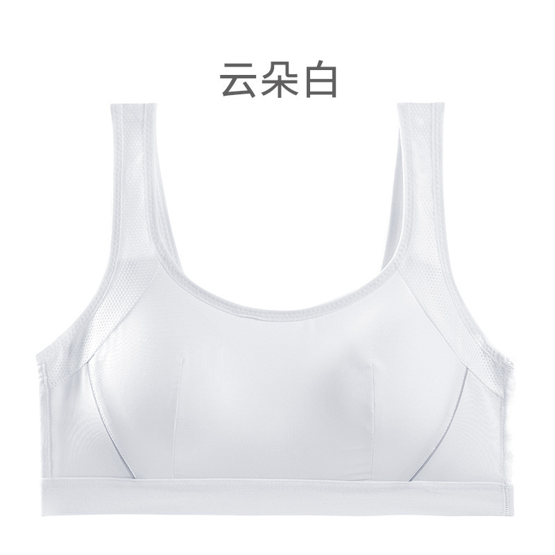 화이트