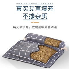 Electric-heated mugwort pillow | Cervical spine pillow for adults | Household buckwheat & cassia seed bone pillow | Mugwort fiber neck-support pillow – Wholesale