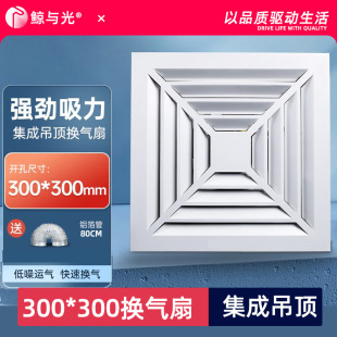 300�X�۰�Q���ȼ��ɵ���Ś��ȏ����o��ʯ��幤���컨�ܵ���