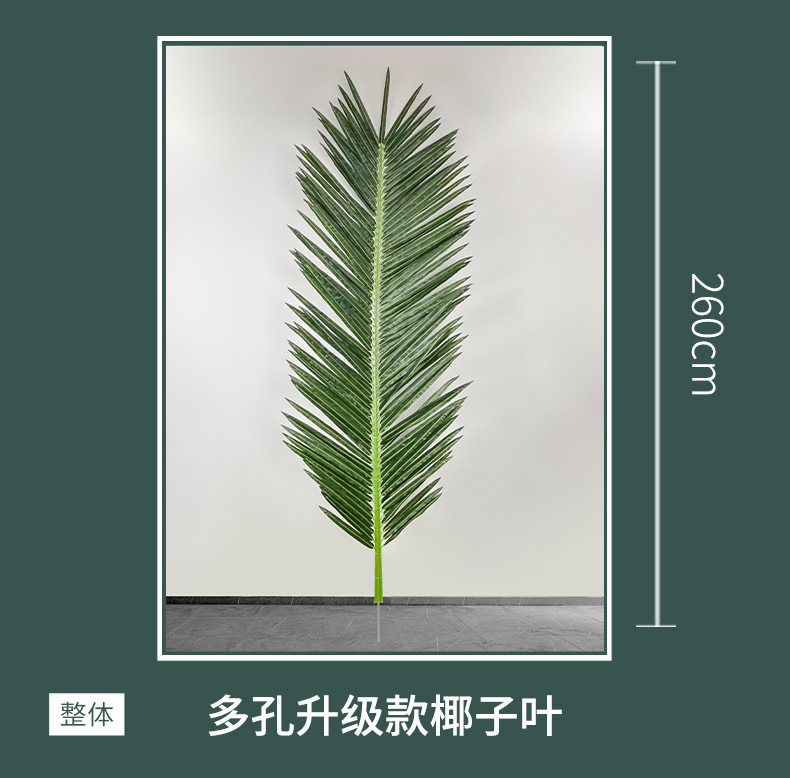 详情 (6).jpg