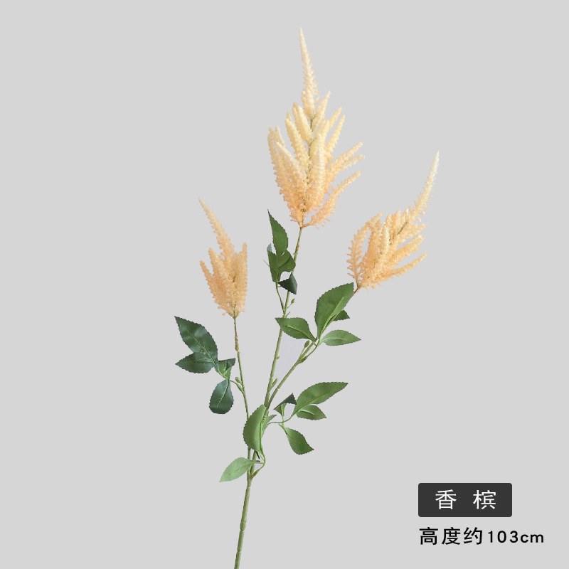 샴페인