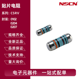 CSRV0204FTCG1300 ���R0204�NƬ��� 130R�Wķ ����1% &plusmn;25ppm/��