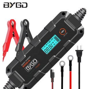 12V6000mA��܇늳س����110V�˶�ʽ�����ƿ�ޏ��늳س�늿羳