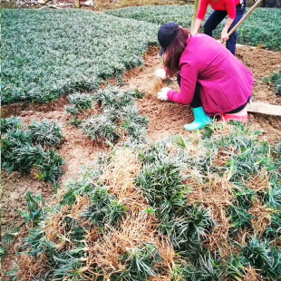 �e��С�^�G���ձ������������� �ļ������L������������ ���`̤��