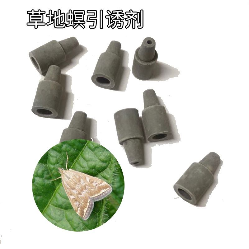 草地螟引诱剂Loxostege stieticatis Linnaeus 昆虫信息素 诱芯
