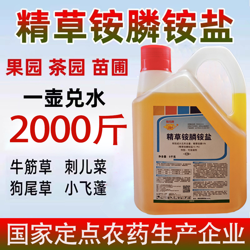 微信图片_20231109143845