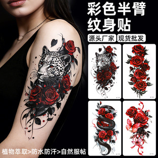 �羳�W���y���N��ˮ��Ů�����R�r�־ð���3D�����ɫõ�廨�y���N