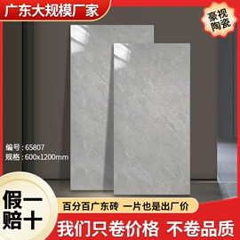 地面砖;陶瓷;内墙砖