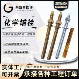 现货供应化学锚栓 高强度锚栓 化学锚固药剂膨胀螺栓 m16/m