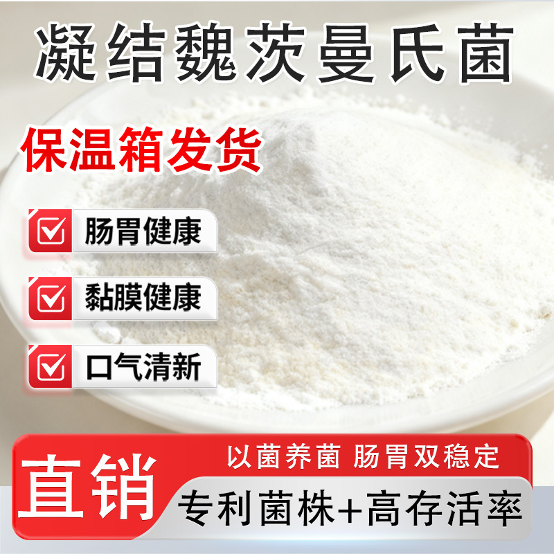 凝结魏茨曼氏菌1000亿CFU/G 高活性益生菌冻干粉 食品级乳酸菌