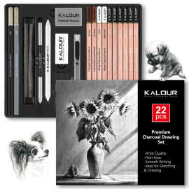 KALOUR新品22件碳笔柳碳笔素描套装美术绘画用笔