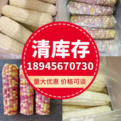 清库存速冻东北玉米白糯玉米花糯玉米二等穗三等穗量大价格可谈